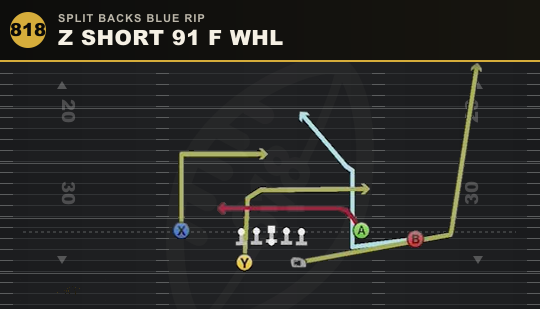 Z SHORT 91 F WHL from Split Backs Blue Rip