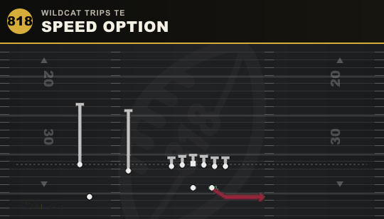 SPEED OPTION from Wildcat Trips TE