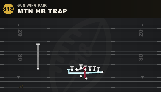 MTN HB TRAP from Gun Wing Pair