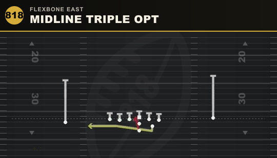 MIDLINE TRIPLE OPT from Flexbone East