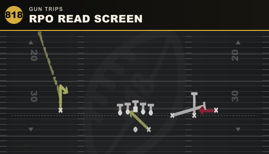 RPO READ SCREEN from Gun Trips