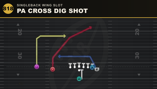PA CROSS DIG SHOT from Singleback Wing Slot