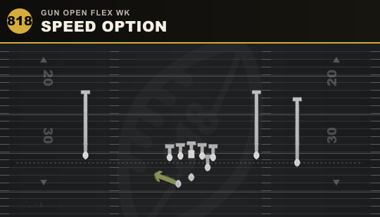 SPEED OPTION from Gun Open Flex Wk