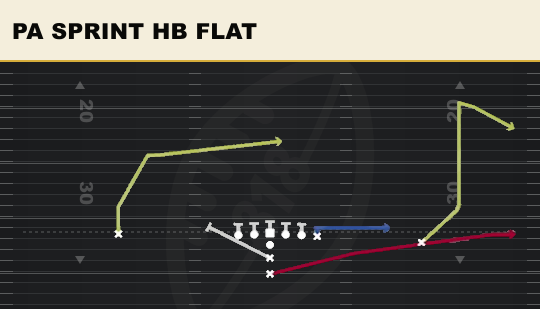 PA SPRINT HB FLAT from Pro
