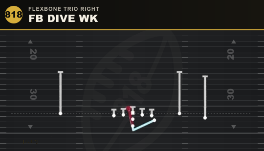 FB DIVE WK from Flexbone Trio Right