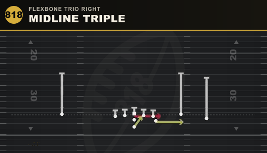 MIDLINE TRIPLE from Flexbone Trio Right