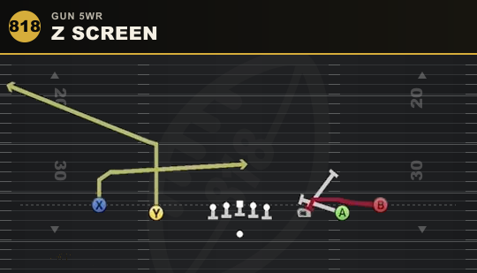 Z SCREEN from Gun 5WR