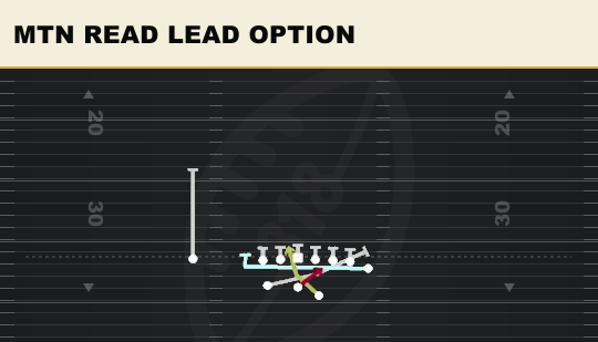 MTN READ LEAD OPTION from Split Wing Nasty