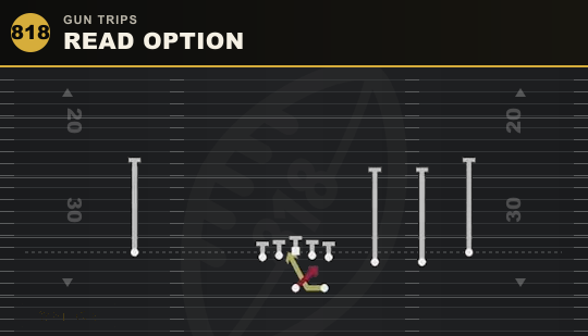READ OPTION from Gun Trips