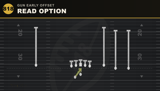 READ OPTION from Gun Early Offset