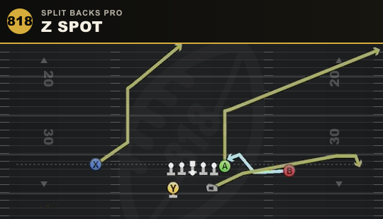 Z SPOT from Split Backs Pro