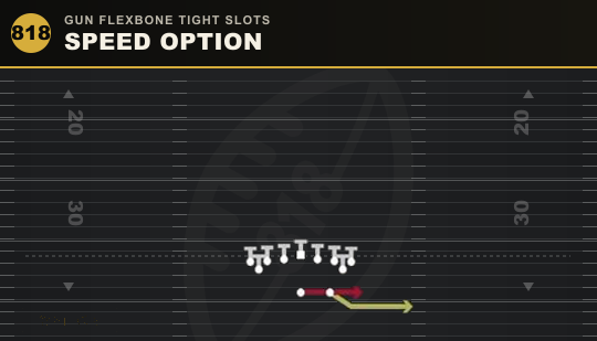 SPEED OPTION from Gun Flexbone Tight Slots