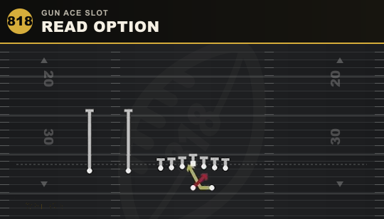 READ OPTION from Gun Ace Slot