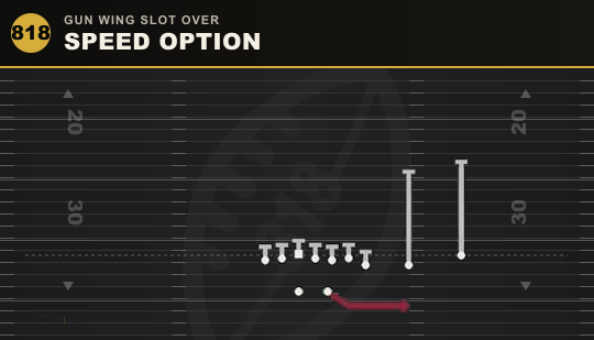 SPEED OPTION from Gun Wing Slot Over