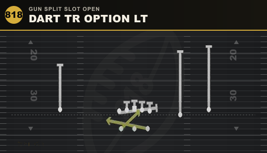 DART TR OPTION LT from Gun Split Slot Open