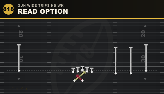 READ OPTION from Gun Wide Trips HB Wk