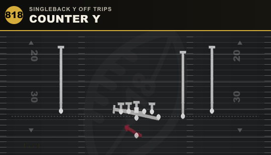 COUNTER Y from Singleback Y Off Trips