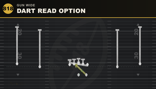 DART READ OPTION from Gun Wide