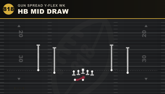 HB MID DRAW from Gun Spread Y-Flex Wk