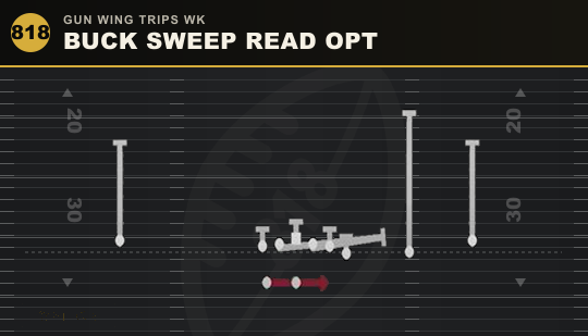 BUCK SWEEP READ OPT from Gun Wing Trips Wk