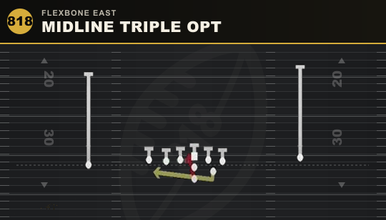 MIDLINE TRIPLE OPT from Flexbone East