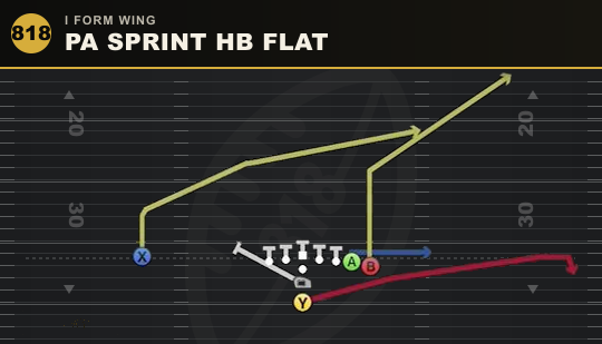 PA SPRINT HB FLAT from I Form Wing