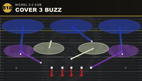 COVER 3 BUZZ from Nickel 3-3 Cub