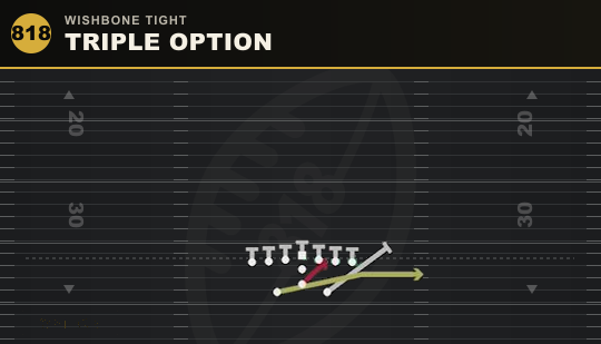 TRIPLE OPTION from Wishbone Tight