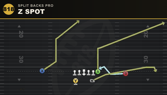 Z SPOT from Split Backs Pro