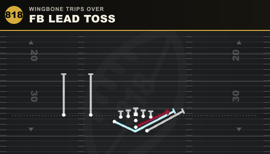 FB LEAD TOSS from Wingbone Trips Over