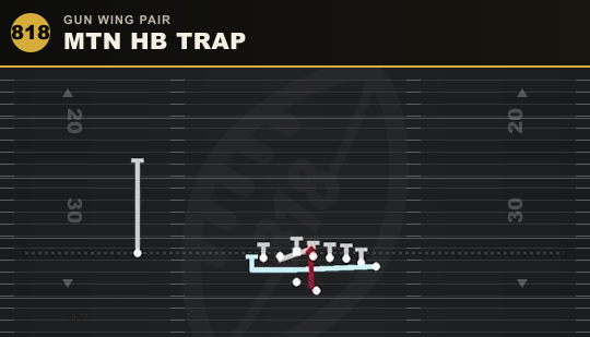 MTN HB TRAP from Gun Wing Pair