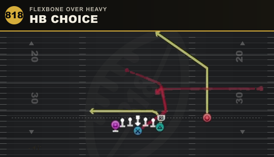 HB CHOICE from Flexbone Over Heavy