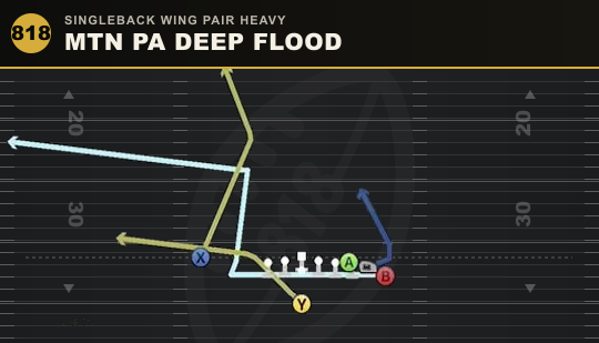 MTN PA DEEP FLOOD from Singleback Wing Pair Heavy
