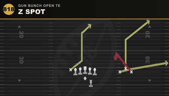 Z SPOT from Gun Bunch Open TE