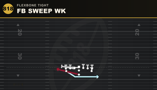 FB SWEEP WK from Flexbone Tight