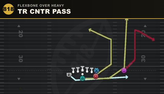 TR CNTR PASS from Flexbone Over Heavy