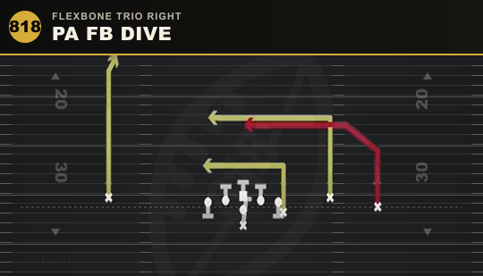 PA FB DIVE from Flexbone Trio Right