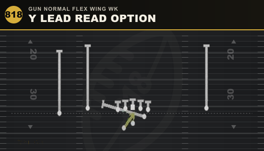 Y LEAD READ OPTION from Gun Normal Flex Wing Wk