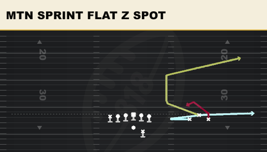 MTN SPRINT FLAT Z SPOT from Bunch Open TE