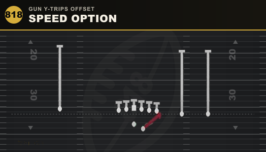 SPEED OPTION from Gun Y-Trips Offset