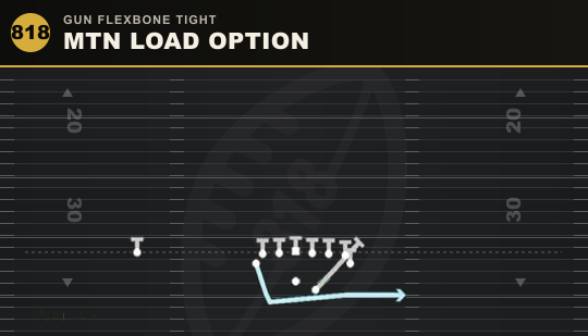 MTN LOAD OPTION from Gun Flexbone Tight