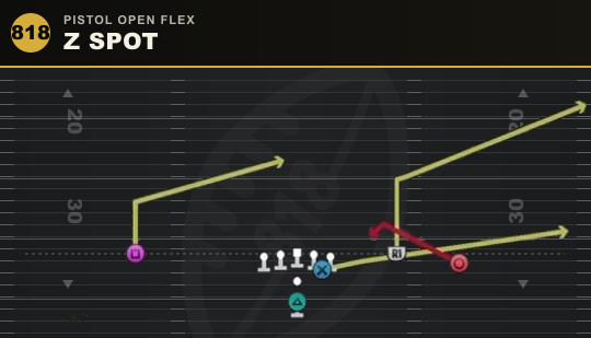 Z SPOT from Pistol Open Flex