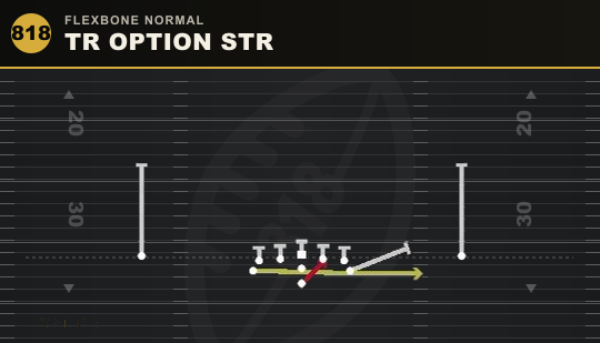 TR OPTION STR from Flexbone Normal