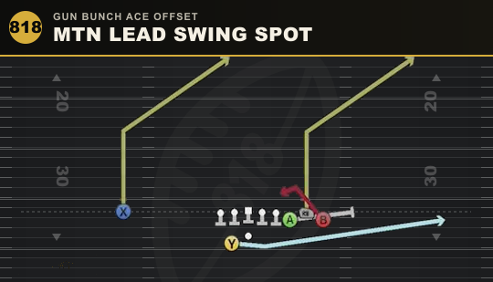 MTN LEAD SWING SPOT from Gun Bunch Ace Offset