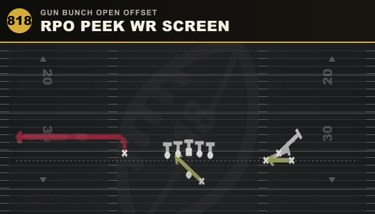 RPO PEEK WR SCREEN from Gun Bunch Open Offset