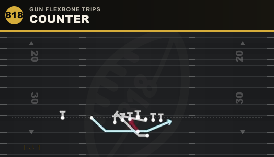 COUNTER from Gun Flexbone Trips