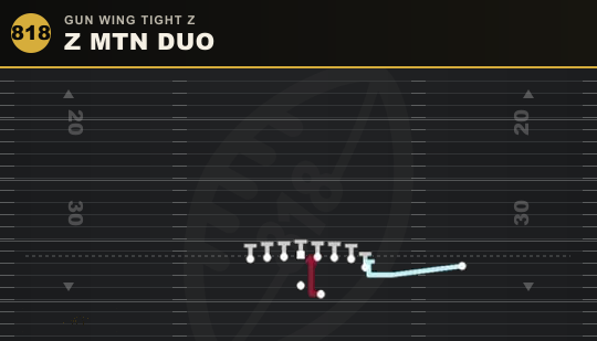Z MTN DUO from Gun Wing Tight Z