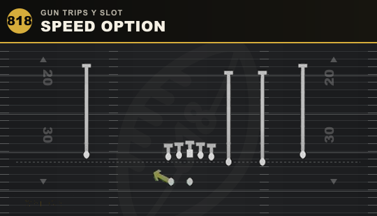 SPEED OPTION from Gun Trips Y Slot