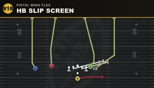 HB SLIP SCREEN from Pistol Wing Flex