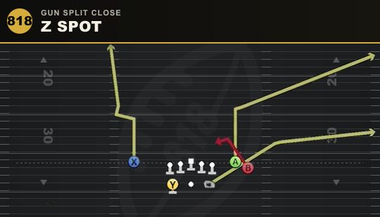 Z SPOT from Gun Split Close